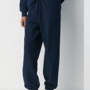 TNA Aritzia Admiral Cozy Sweatfleece Mega Jogger